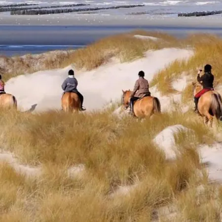 Berckoise - Vue - 30m - 8 Pers * Berck