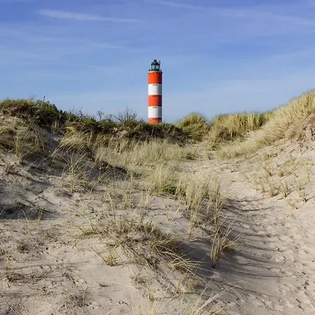 Berckoise - Vue - 30m - 8 Pers