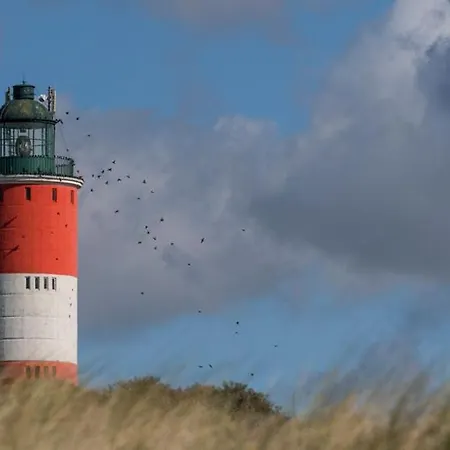 펜션 Berckoise - Vue - 30m - 8 Pers